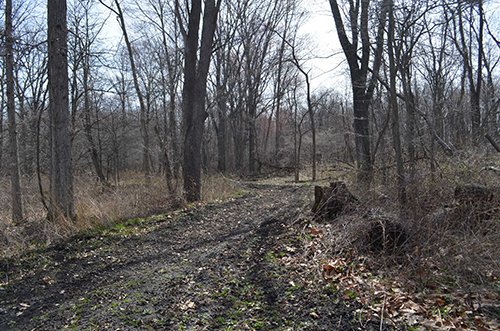 Property photo 131 - REAL ESTATE & PERSONAL PROPERTY AUCTION, 140 Acres offered in 8 Tracts or Combinations in Steuben County